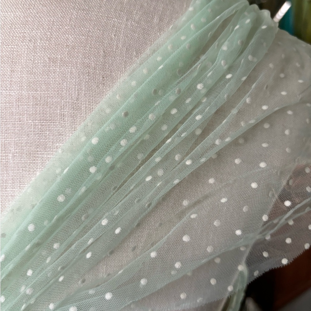 Vintage-Style Mint Green Midi Dress with Sheer Polka Dot Overlay - Picture 12 of 13